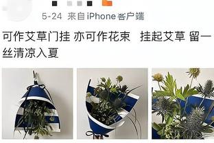 芬奇：爱德华兹今日可出战 哈登是顶级传球手&表现几乎完美